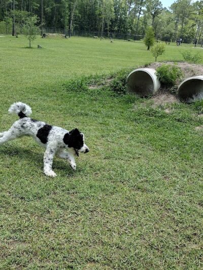 FETCH Park - Long Beach, MS