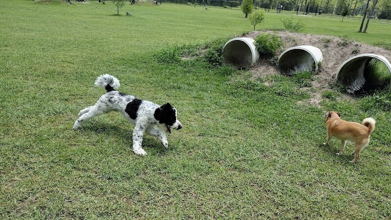 FETCH Park - Long Beach, MS