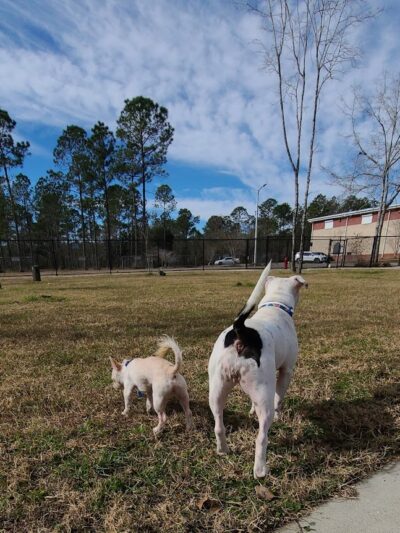 FETCH Park - Long Beach, MS