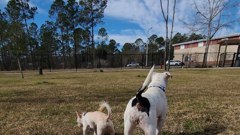 FETCH Park - Long Beach, MS