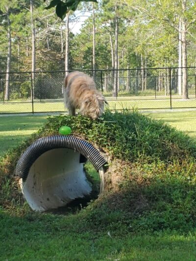 FETCH Park - Long Beach, MS