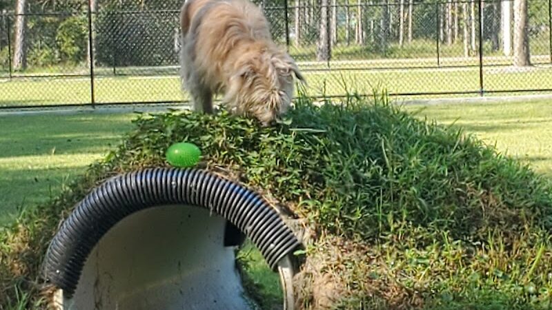 FETCH Park - Long Beach, MS