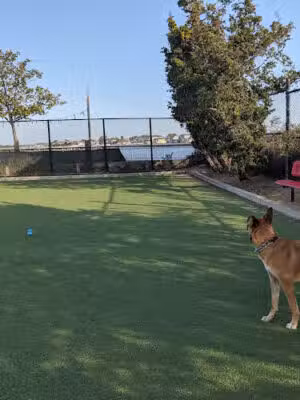 Long Beach Dog Run - Long Beach, NY