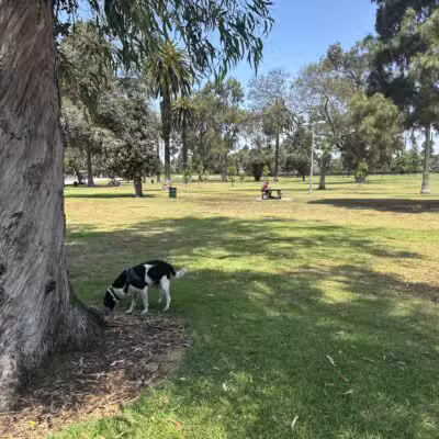 Recreation Dog Park - Long Beach, CA