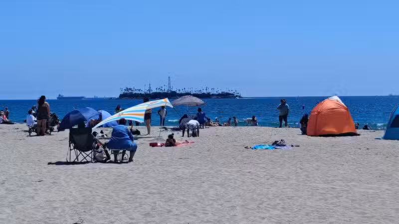 Rosie's Dog Beach - Long Beach, CA