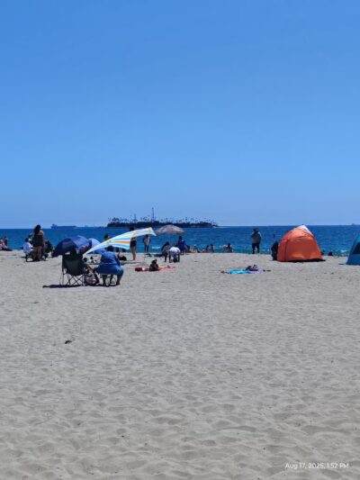 Rosie's Dog Beach - Long Beach, CA