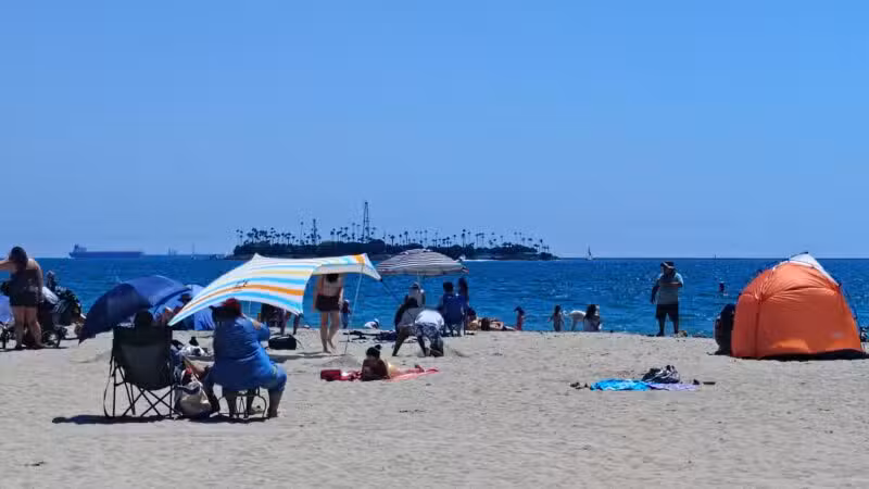 Rosie's Dog Beach - Long Beach, CA