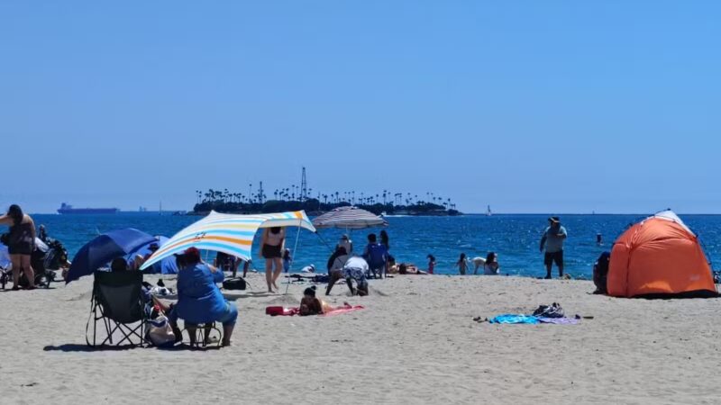 Rosie's Dog Beach - Long Beach, CA