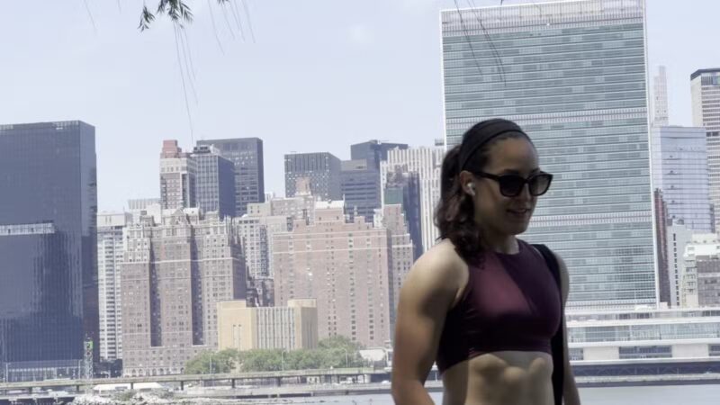 Hunter's Point South Dog Run - Long Island City, NY