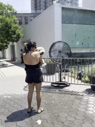 Hunter's Point South Dog Run - Long Island City, NY