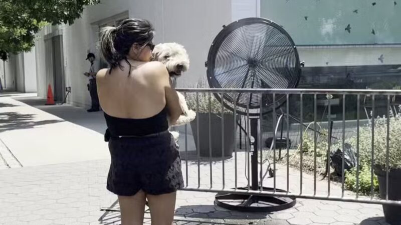 Hunter's Point South Dog Run - Long Island City, NY