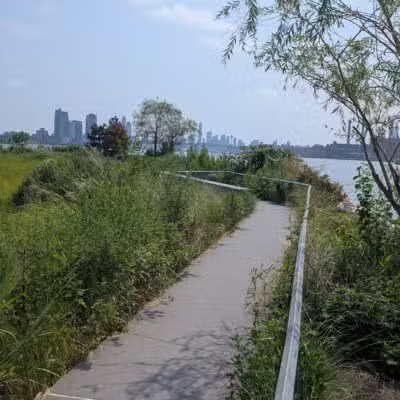 Hunter's Point South Park - Long Island City, NY