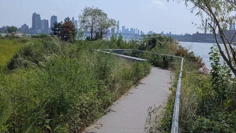 Hunter's Point South Park - Long Island City, NY