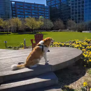 Gantry Plaza State Park - Long Island City, NY