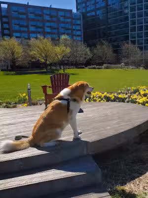 Gantry Plaza State Park - Long Island City, NY