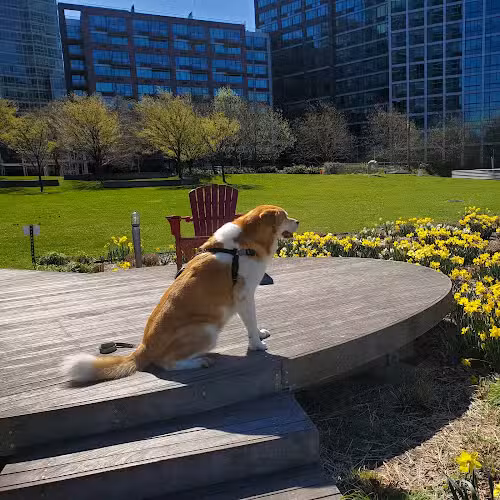 Gantry Plaza State Park - Long Island City, NY