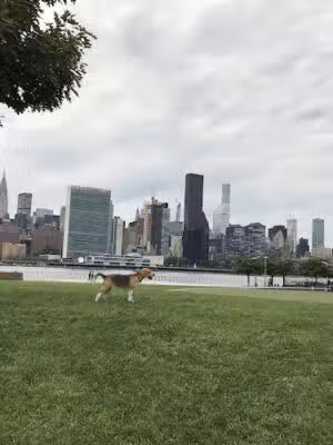 Hunter's Point South Park - Long Island City, NY
