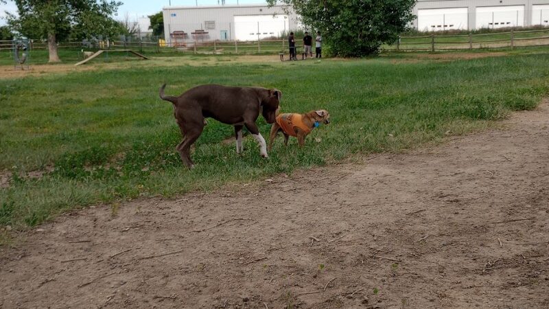City of Longmont Dog Park #2 - Longmont, CO