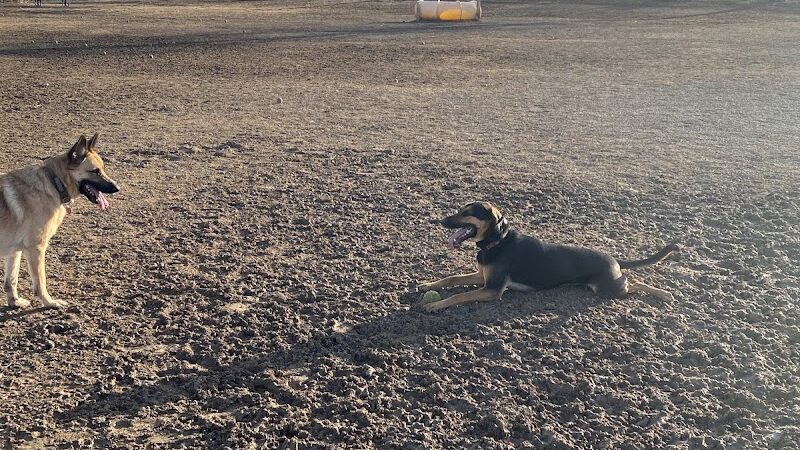 City of Longmont Dog Park #2 - Longmont, CO