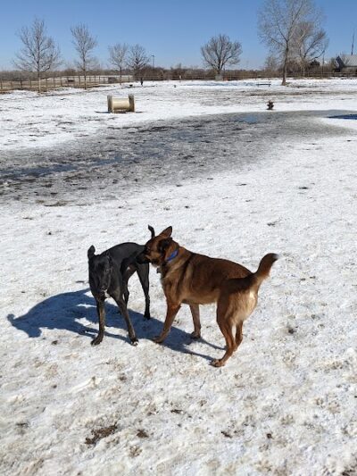 City of Longmont Dog Park #2 - Longmont, CO