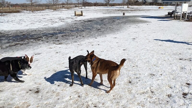 City of Longmont Dog Park #2 - Longmont, CO