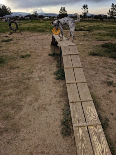 City of Longmont Dog Park #2 - Longmont, CO