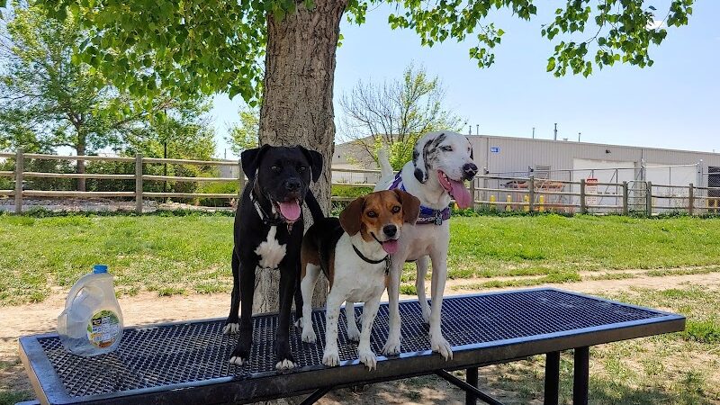 City of Longmont Dog Park #2 - Longmont, CO