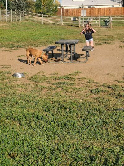 City of Longmont Dog Park #1 - Longmont, CO