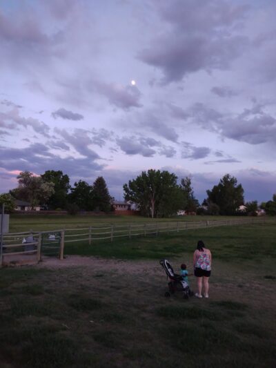 City of Longmont Dog Park #1 - Longmont, CO