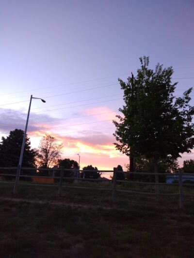 City of Longmont Dog Park #1 - Longmont, CO