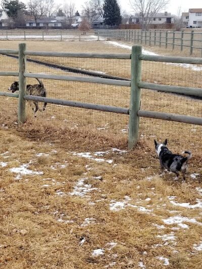 City of Longmont Dog Park #1 - Longmont, CO