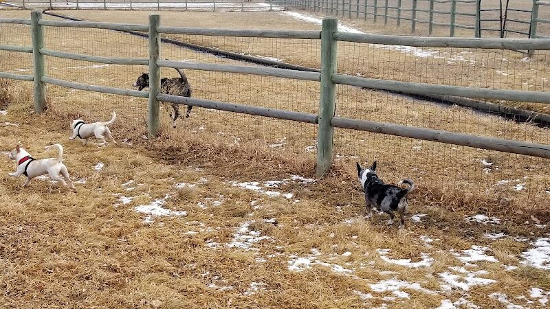 City of Longmont Dog Park #1 - Longmont, CO