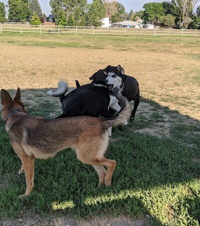 City of Longmont Dog Park #1 - Longmont, CO