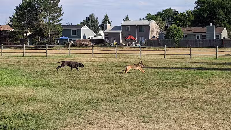 City of Longmont Dog Park #1 - Longmont, CO