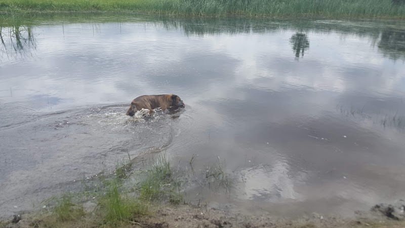 Lonsdale Dog Park - Lonsdale, MN