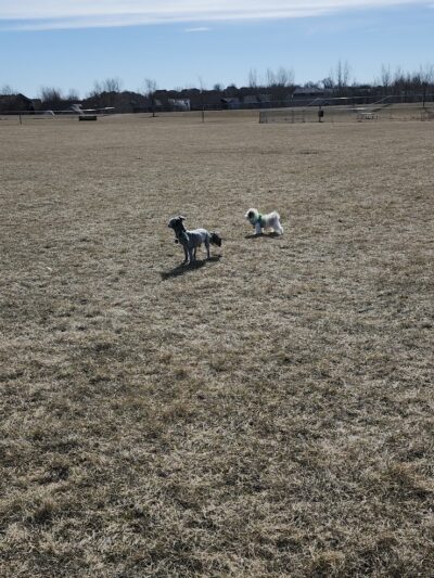 Lonsdale Dog Park - Lonsdale, MN