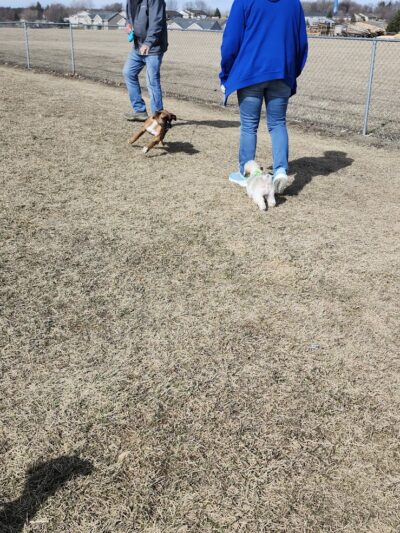 Lonsdale Dog Park - Lonsdale, MN