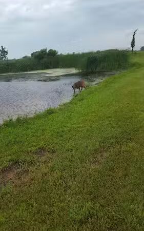 Lonsdale Dog Park - Lonsdale, MN