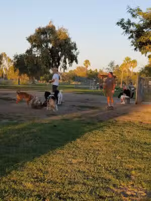 Arbor Dog Park - Los Alamitos, CA