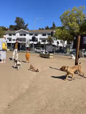 Silver Lake Dog Park - Los Angeles, CA