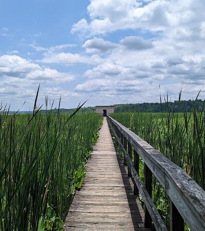 Jug Bay Wetlands Sanctuary - Lothian, MD