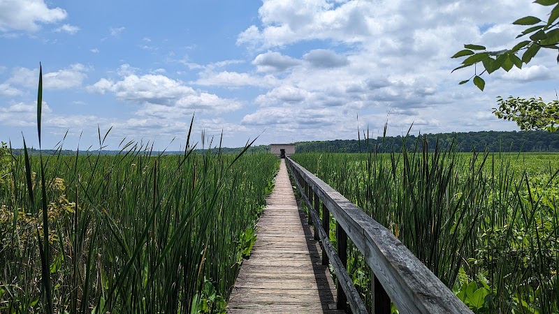 Jug Bay Wetlands Sanctuary - Lothian, MD