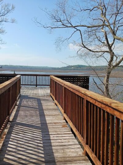 Jug Bay Wetlands Sanctuary - Lothian, MD