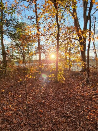Jug Bay Wetlands Sanctuary - Lothian, MD
