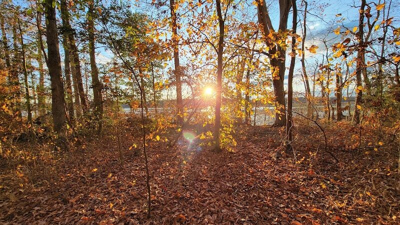 Jug Bay Wetlands Sanctuary - Lothian, MD