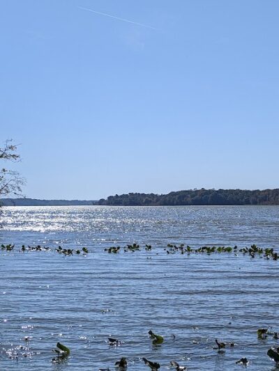 Jug Bay Wetlands Sanctuary - Lothian, MD