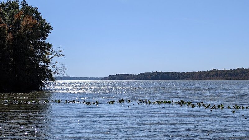 Jug Bay Wetlands Sanctuary - Lothian, MD