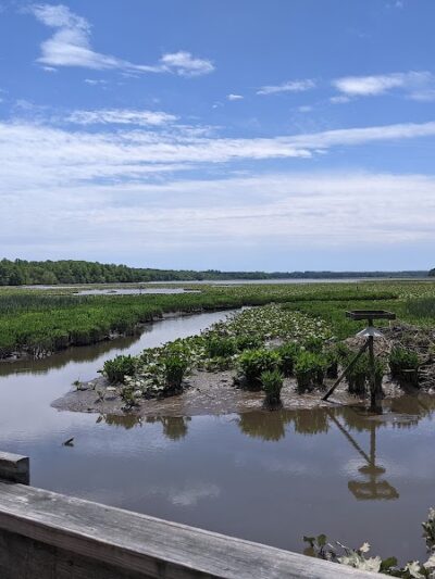 Jug Bay Wetlands Sanctuary - Lothian, MD