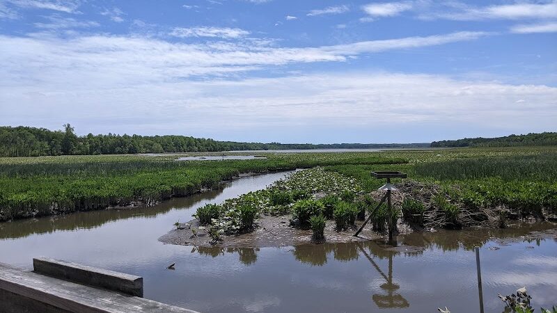 Jug Bay Wetlands Sanctuary - Lothian, MD
