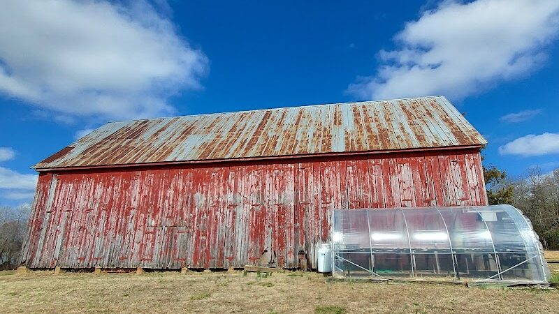Jug Bay Wetlands Sanctuary - Lothian, MD